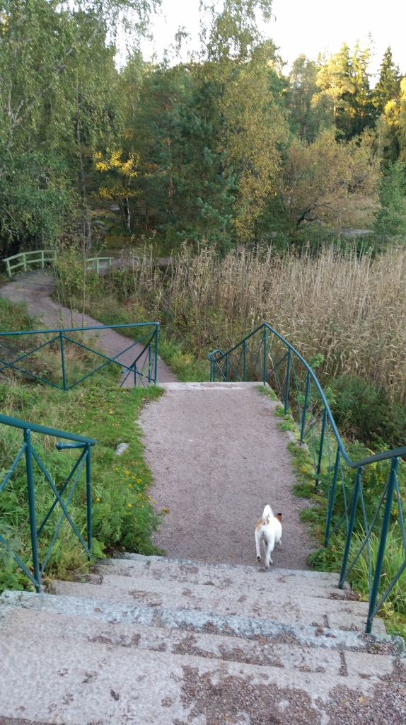 Paths and steps around Seurasaari island